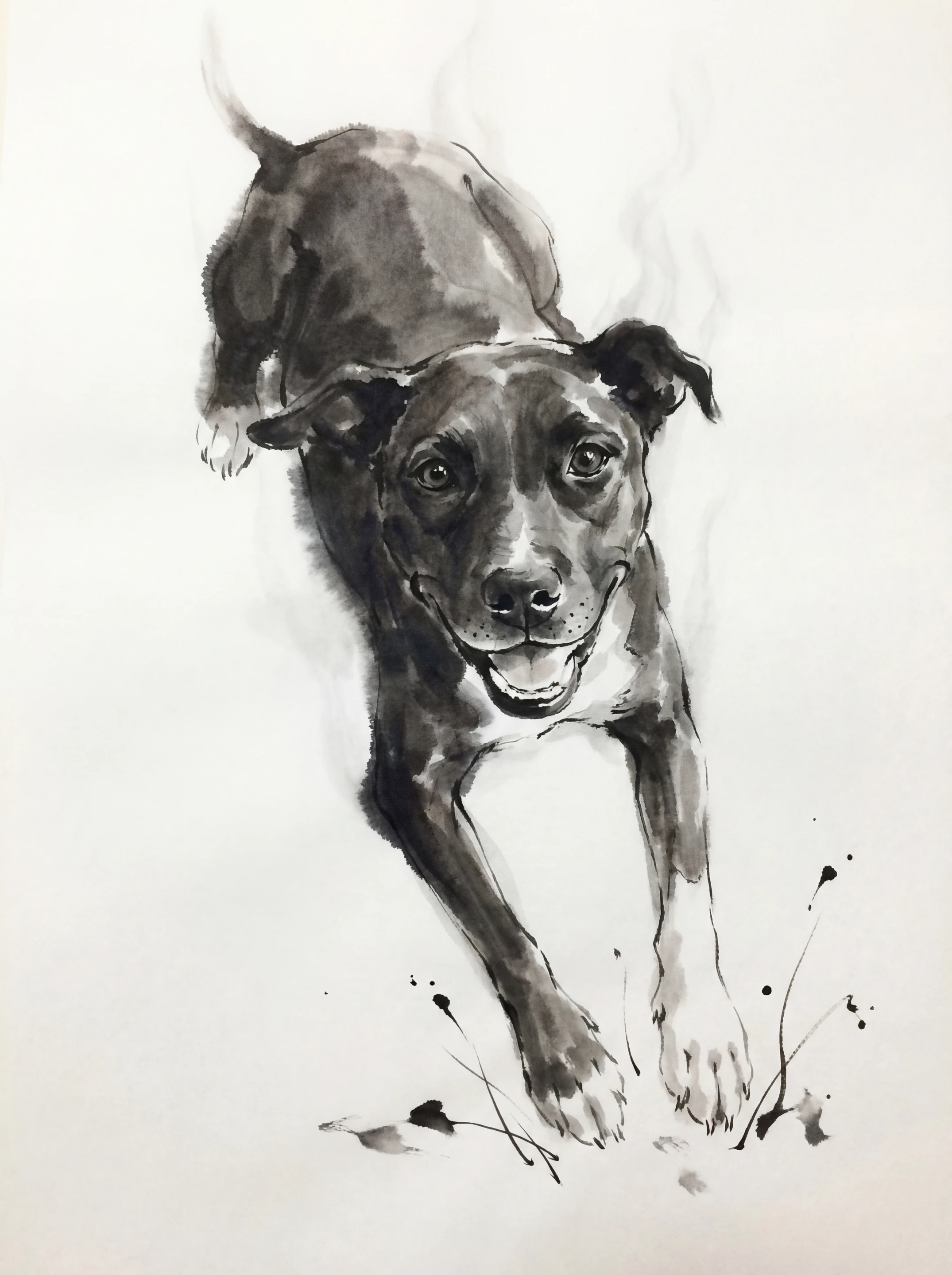 Ink Wash pet portrait example by Loyal Studio